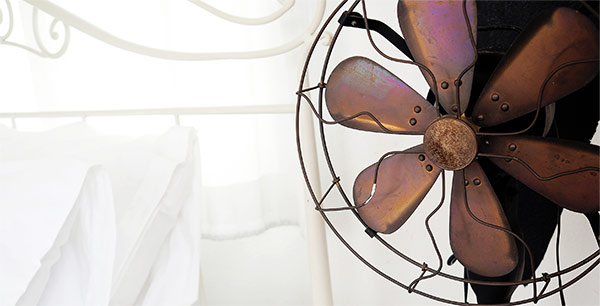 light-what-we-do-image-3 ss