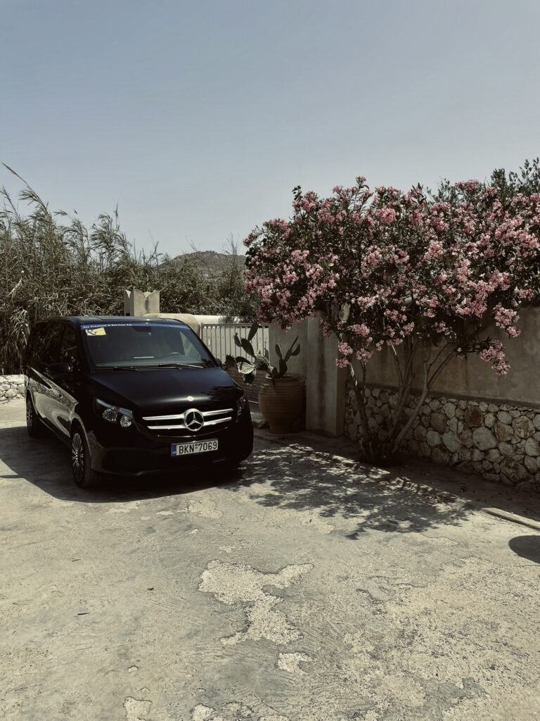 ZAS PREMIUM-14
